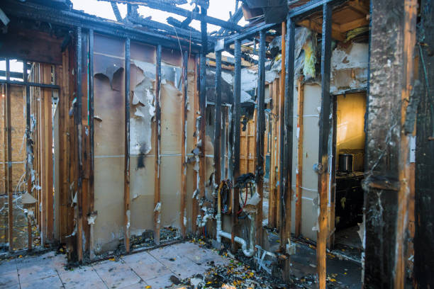 Professional Fire Damage Restoration technician working in Toledo, IL